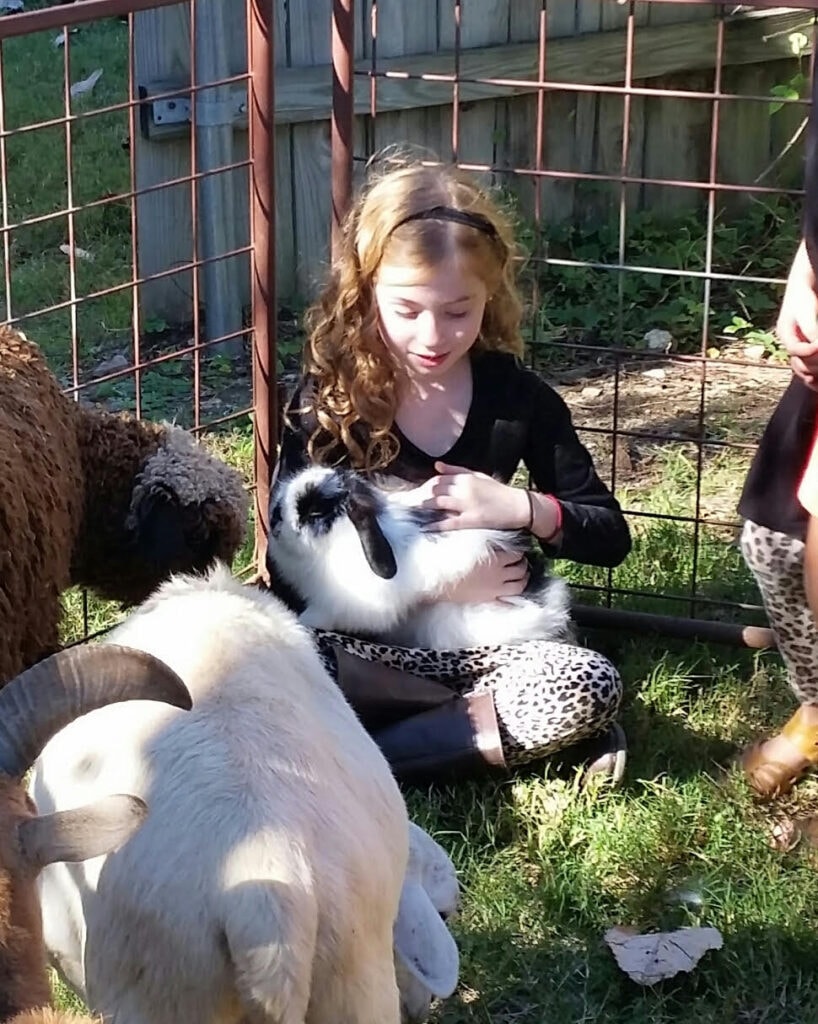 Petting Zoo