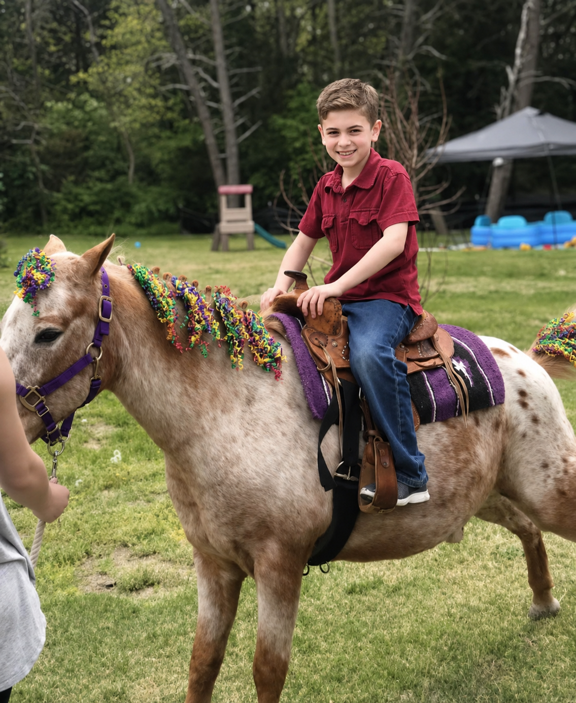 Pony Rides